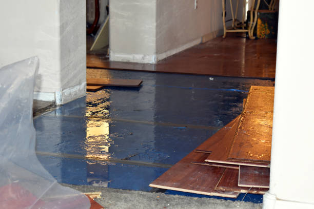 Professional Sewage Cleanup technician working in Evansville, IN